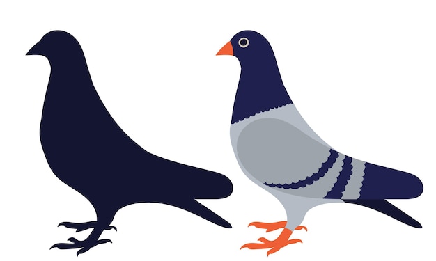 paloma en estilo plano con silueta en vector de fondo blanco