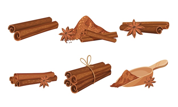 Palos de canela y condimento en polvo vertidos en cuenco de cerámica Vector Set Salsa dulce y picante para bebidas calientes y recetas de pastelería