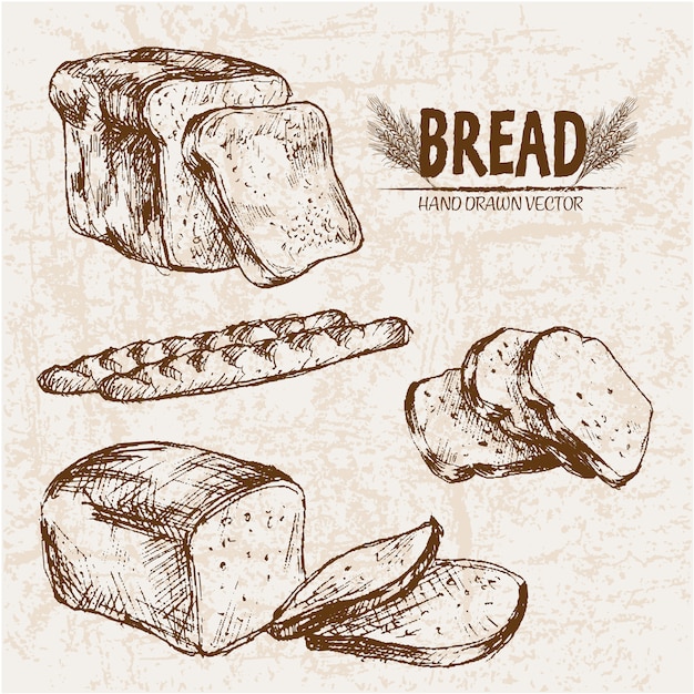 Vector pan cortado dibujado a mano