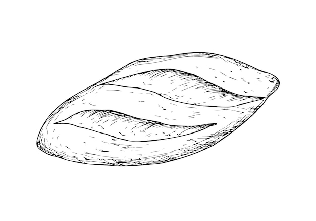 Pan vectorial y panadería tinta gráfica pan de comida pan de grano entero ciabatta pan de baguette casero marrón