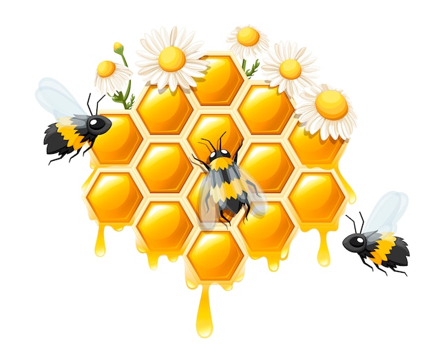 Panal con gotas de miel. Miel dulce con flor y abejas. Logotipo para tienda o panadería. ilustración sobre fondo blanco
