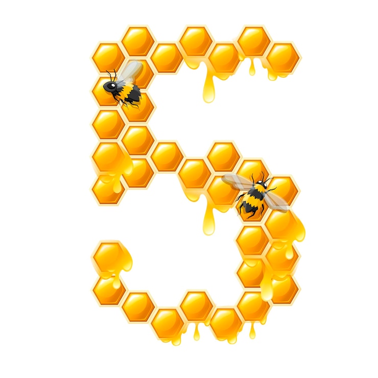 Vector panal número 5 con gotas de miel y abeja estilo de dibujos animados diseño de alimentos ilustración vectorial plana aislada sobre fondo blanco.