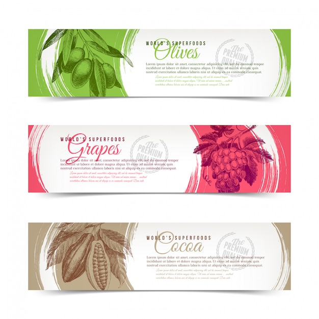 pancartas con alimentos dibujados a mano: uvas, aceitunas y granos de cacao