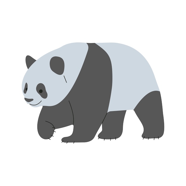 Panda 1 y 1