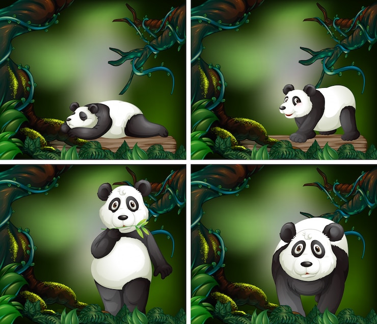 Vector panda en el bosque oscuro