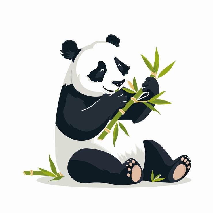 Vector panda comiendo bambú 4