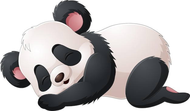 Vector panda de dibujos animados durmiendo sobre un fondo blanco