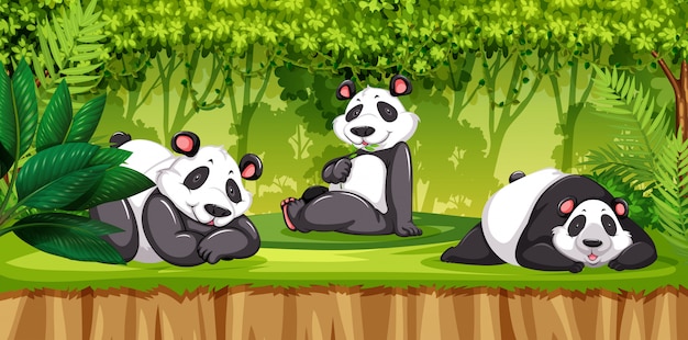 Vector panda en una jungla