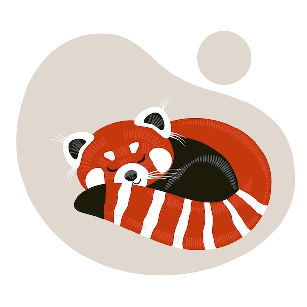 Panda rojo de dibujos animados está durmiendo