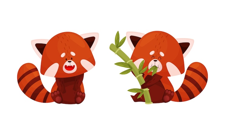 Vector el panda rojo es un personaje de animal salvaje que come bambú. ilustración vectorial.