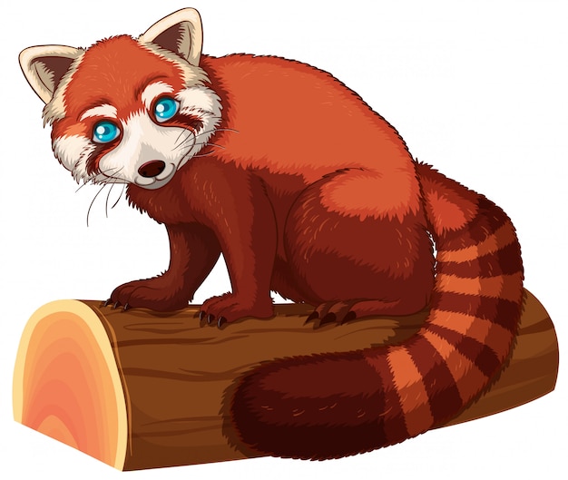 Panda rojo
