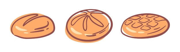 Panes de la panadería