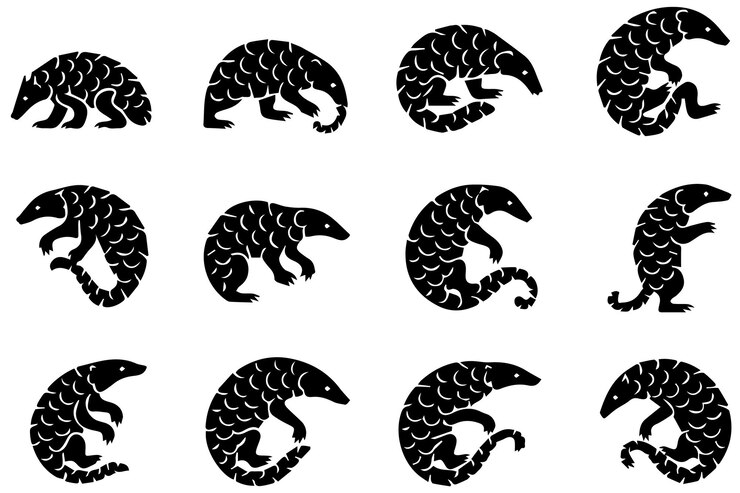 Vector pangolin silhouettes a collection of scaled mammals