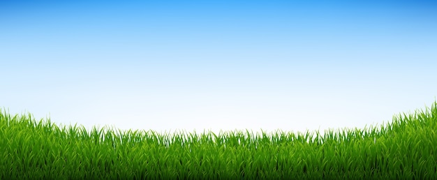Vector panorama de hierba verde con cielo azul