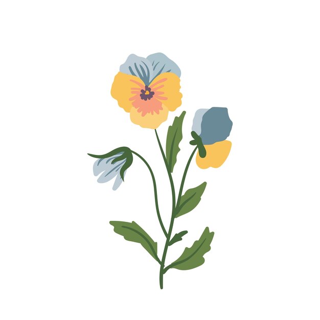 Pansy flor violeta Viola tricolor vector ilustración de dibujos animados aislado sobre fondo blanco Ramo de plantas azul amarillo púrpura con hojas de lechuga brillante Diseño botánico