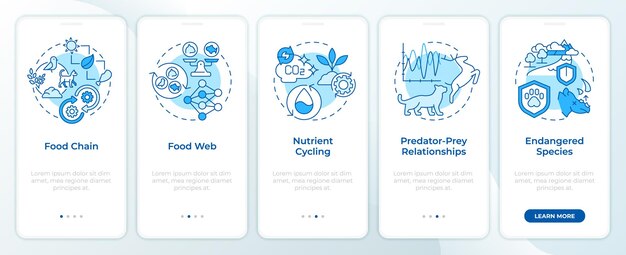Pantalla de la aplicación móvil de incorporación de balance ecológico azul