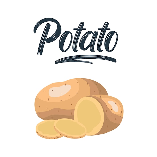 Papas aisladas en el fondo Conjunto de cuñas rebanadas enteras medio anillos papas Ilustración vectorial vista superior