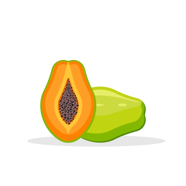 Vector papaya aislada sobre fondo blanco ilustración vectorial