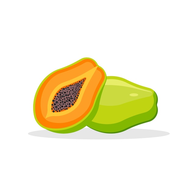 Papaya aislada sobre fondo blanco ilustración vectorial