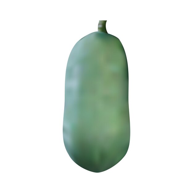 Papaya cruda vectorial abstracta sobre fondo blanco