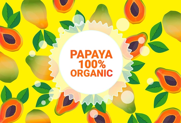 papaya fruta círculo colorido copia espacio orgánico