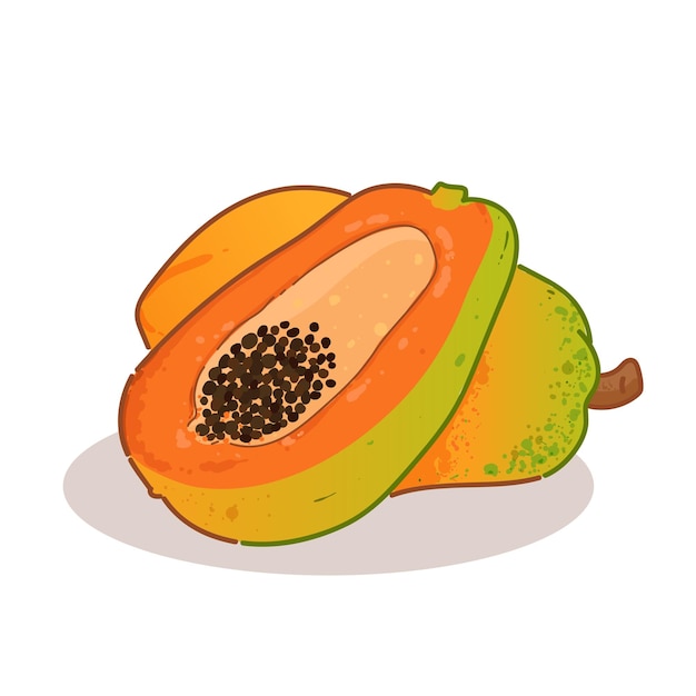 Papaya fruta icono orgánico signo o símbolo dibujado a mano ilustración de dibujos animados