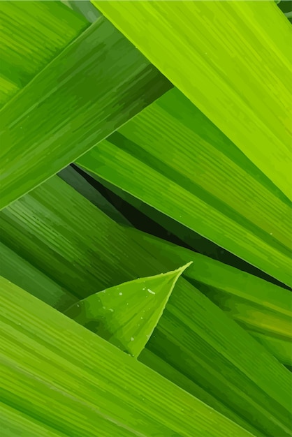 Papel de pared de fondo vectorial de hojas verdes tropicales