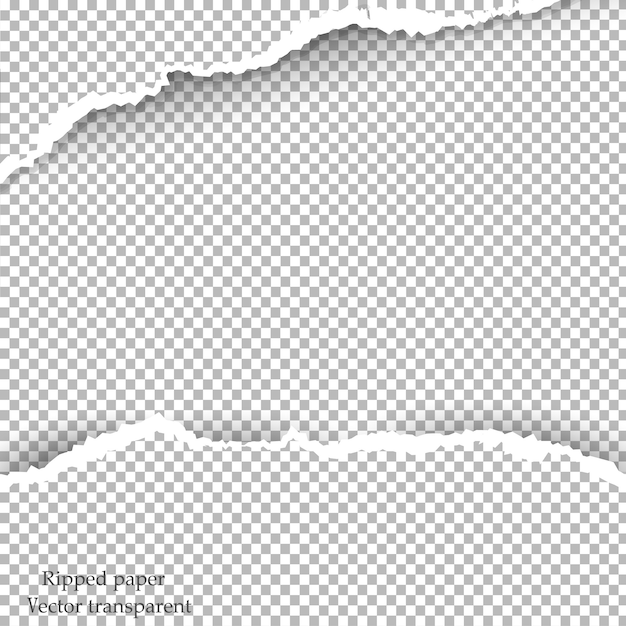 Papel rasgado y fondo transparente con espacio para texto,