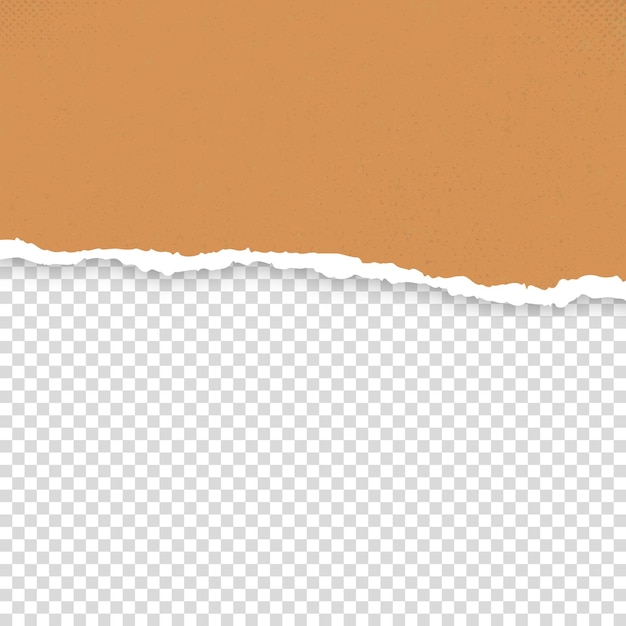 Papel rasgado y rasgado sobre un fondo transparente