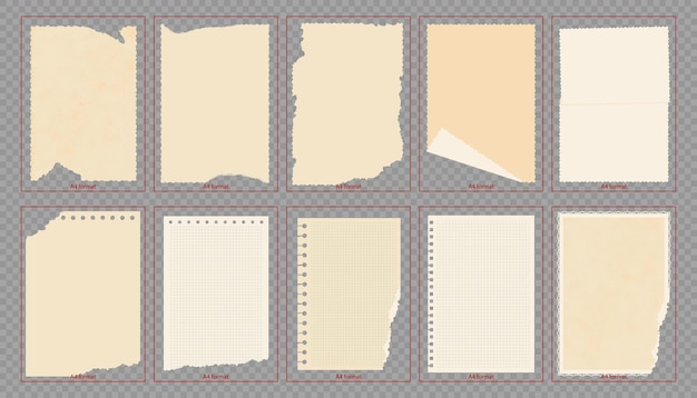 Papel de textura vintage en formato A4 Páginas de notas en papel rasgado Ilustración vectorial