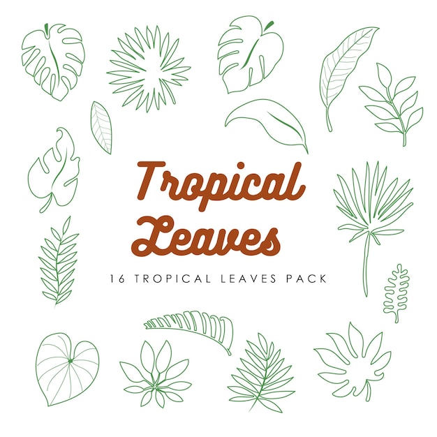 Paquete de 16 hojas tropicales vectoriales