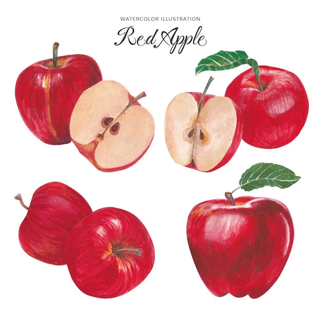 Vector paquete de acuarela de manzana roja