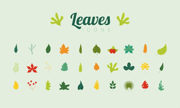 Paquete de colores deja letras e iconos de la naturaleza