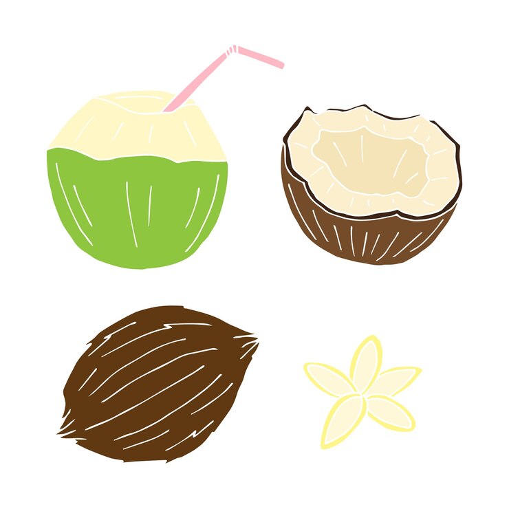 Vector paquete de conjunto de vectores de coco de color dibujado a mano