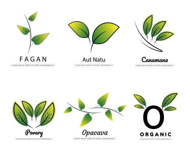 paquete de conjunto de vectores de naturaleza de plantas