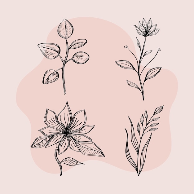 Vector paquete de cuatro flores de dibujo