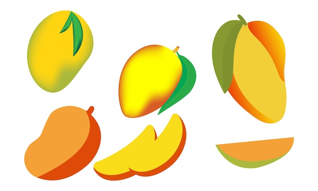 Vector el paquete de diseño e ilustración vectorial de mango