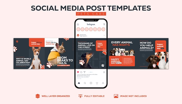 El paquete de diseño de publicaciones de redes sociales de la tienda de mascotas