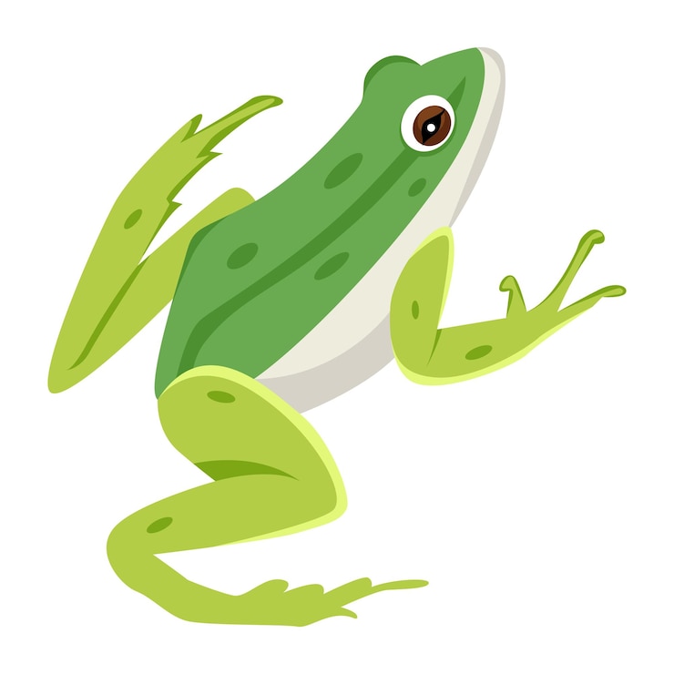 Vector el paquete de iconas planas de sapos lindos