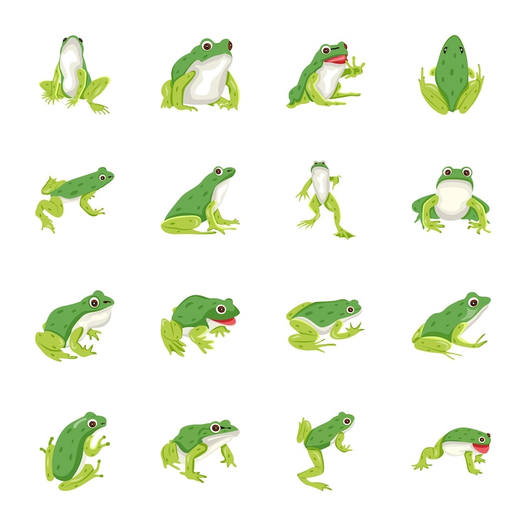 Vector el paquete de iconas planas de sapos lindos