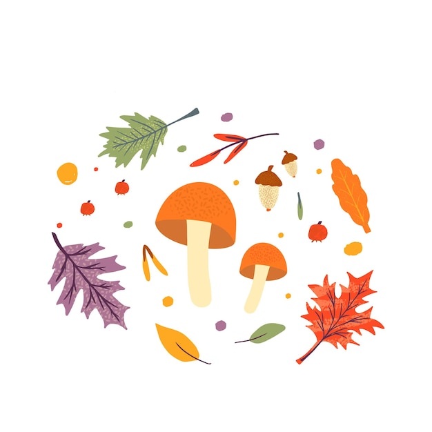 Paquete de iconos de moda de otoño. hojas caídas de roble, arce, baya y seta. Colección de álbumes de recortes de elementos de la temporada de otoño. Ilustración de vector plano natural con flores para publicidad, promoción