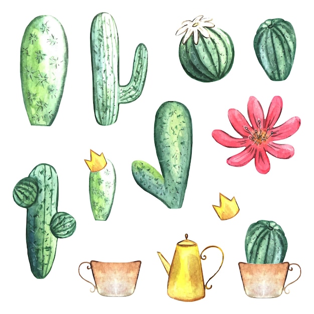 Paquete de ilustración de imágenes prediseñadas de cactus acuarela