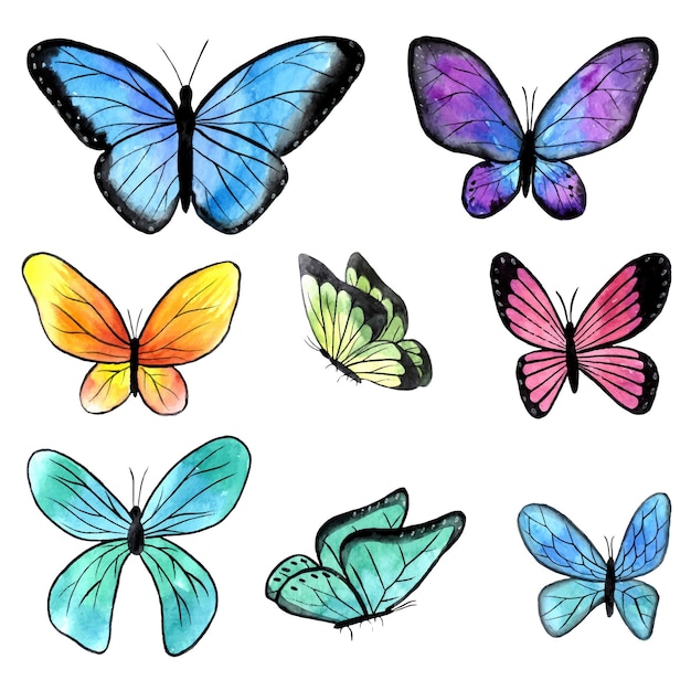 Paquete de ilustración de verano de imágenes prediseñadas de mariposas de acuarela