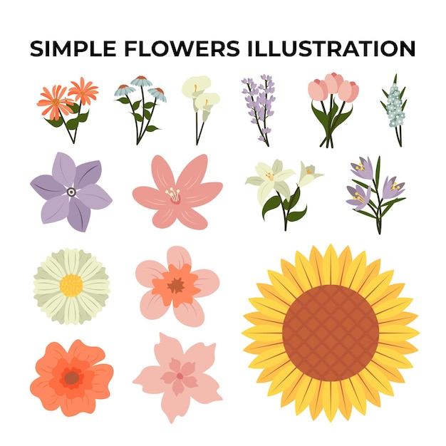 El paquete de ilustraciones de flores simples