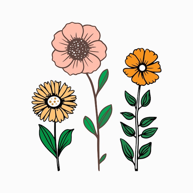 paquete de ilustraciones vectoriales de flores