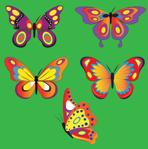 El paquete de mariposas