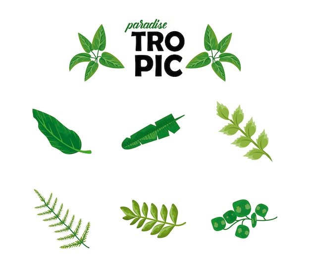 Paquete de ocho hojas, plantas, iconos de naturaleza verde y letras tropicales