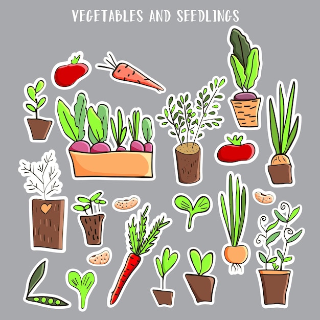 Paquete de pegatinas vectoriales dibujadas a mano Verduras y plántulas