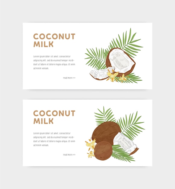 Paquete de plantillas de banner web para leche de coco con cocos, flores y ramas de palmeras. Delicioso producto orgánico. Dibujado a mano