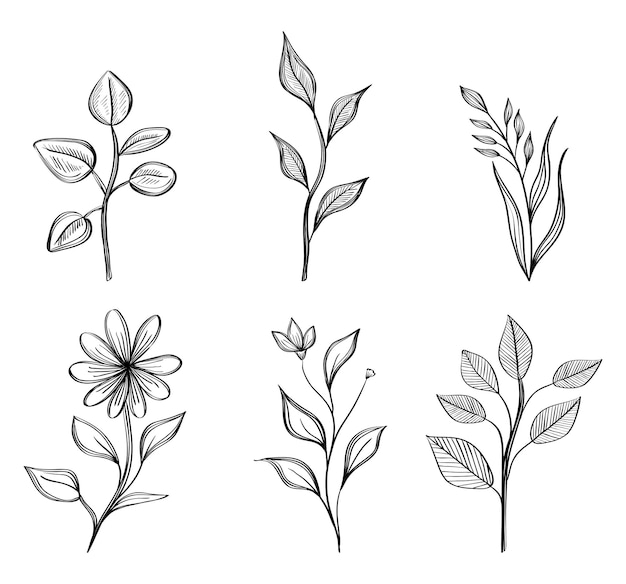 Paquete de seis flores de dibujo